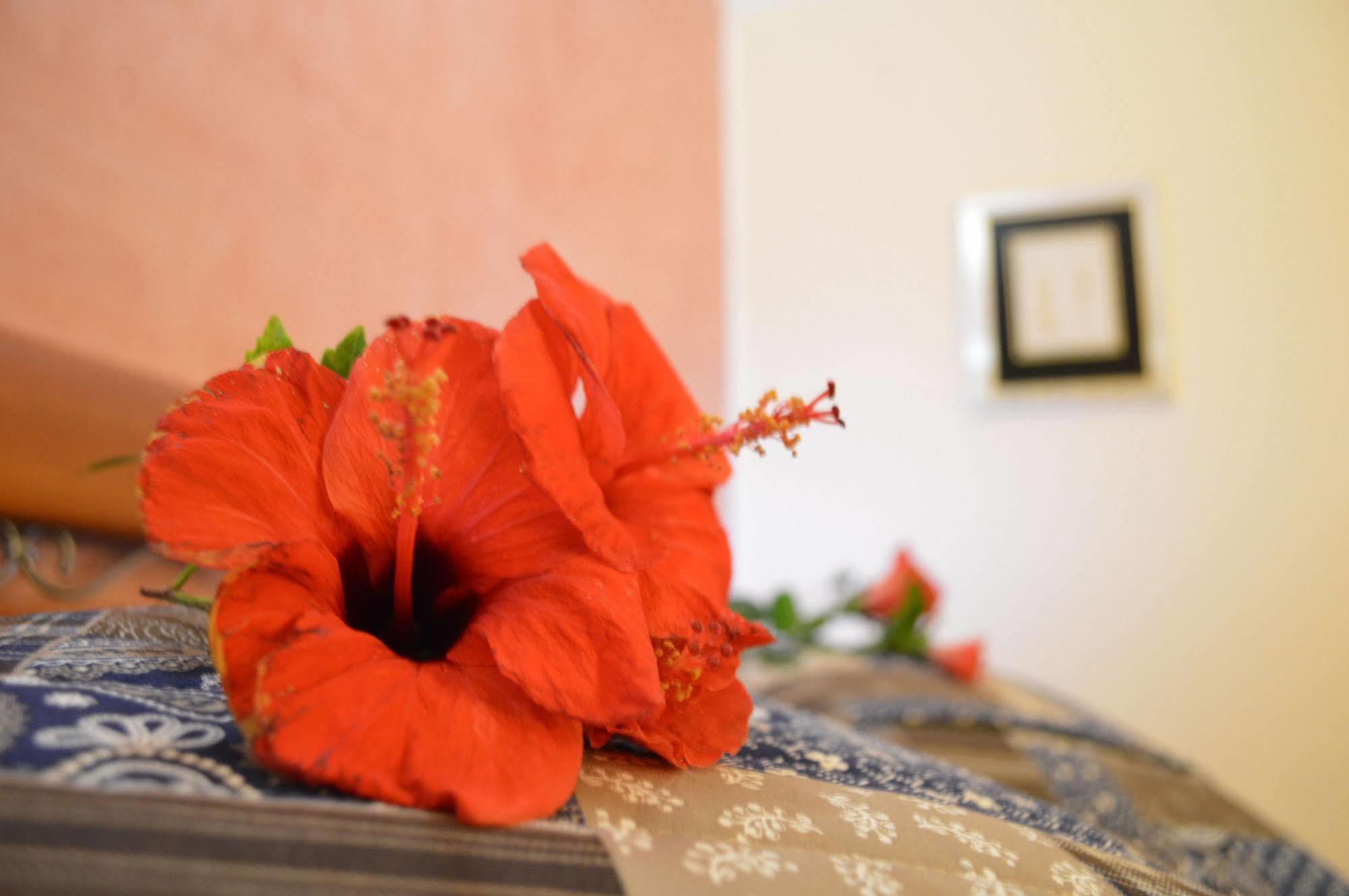 Mar dei Poeti - Luxury Suites Torre Archirafi Extérieur photo